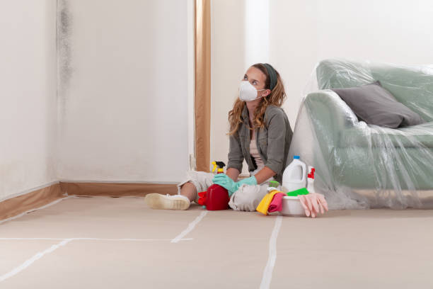 Reliable Mold Inspection contractor in Lincoln University, PA by WQB Mold Removal
